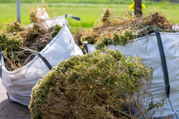 Best Commercial Junk Removal  in St Ansgar, IA